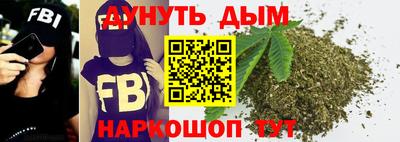 альфа пвп Новокубанск