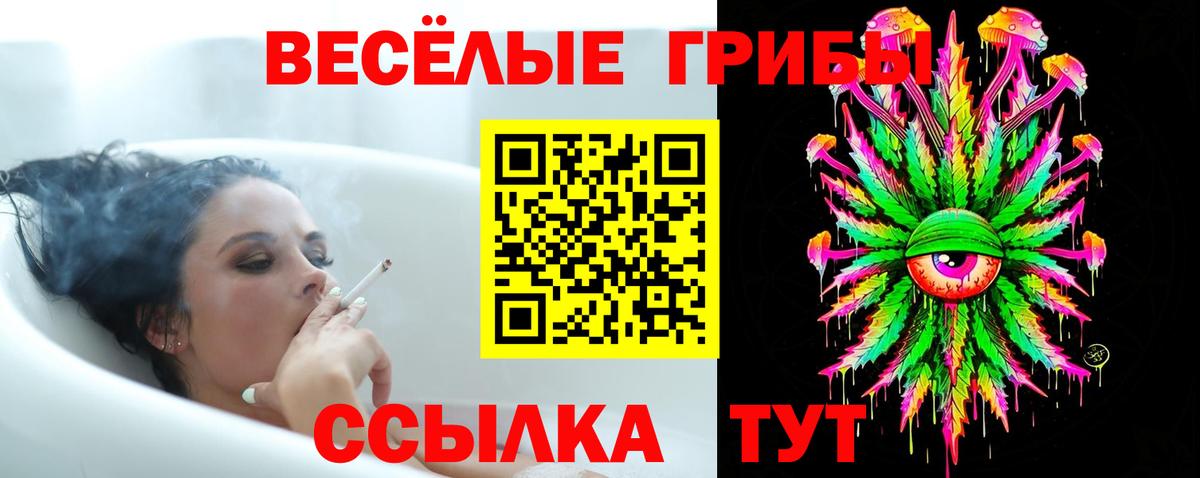 Галлюциногенные грибы Psilocybe  Вход с VPN  Вольск 