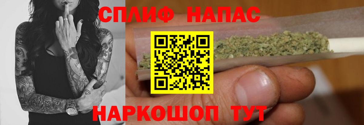 Канабис план Вольск